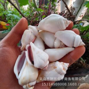�Ͽ���-ؐ�����ݺ��� �ľ�з�~��ˮ�����b�ˇdiy�ֹ�������