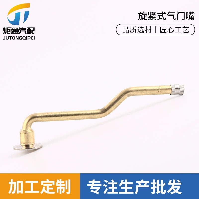 V3.06. Серия автомобиль легкий грузовик вакуумная шина высокого давления устойчивый клапан затяжки клапан