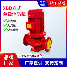 XBD立式单级消防泵 室内自动喷淋稳压泵 消火栓泵  厂家直供