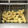 根茎类连续式中药材人参清洗机