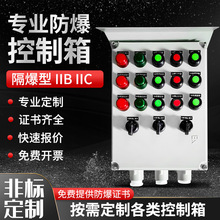 防爆控制箱體儀表開關箱專業生產鋁合金不銹鋼工程塑料外殼配電箱