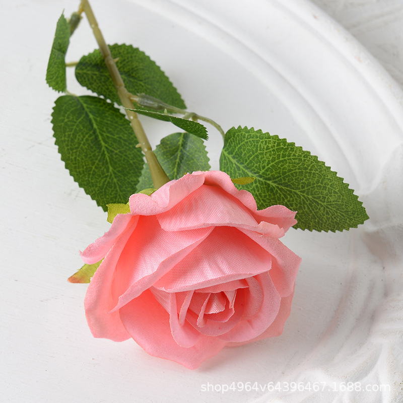 Polvo de coral (franela)