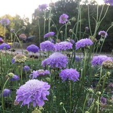 {軨N{ɫ軨x݆ѿл̨