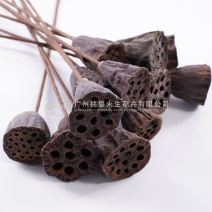 ���ɻ�ɏ���Ȼɏź�廨���Ļ�c�bҾ�ܛ�b�b�