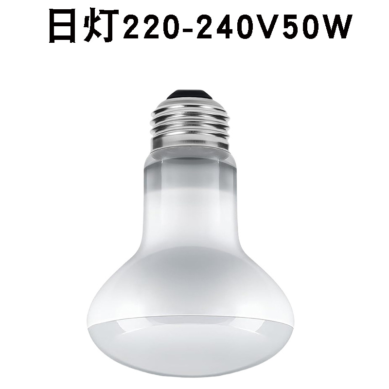 R63220v 주광등 50w