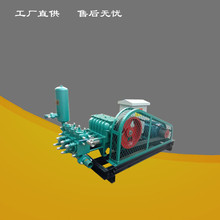 BW250ע{C B{ɰ{ p׃ûʽɰ{ע{