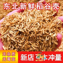 ���������|�����r�Ț��ֿ��׿�ι�u�����J���u�|��ᄾ���ϏS��