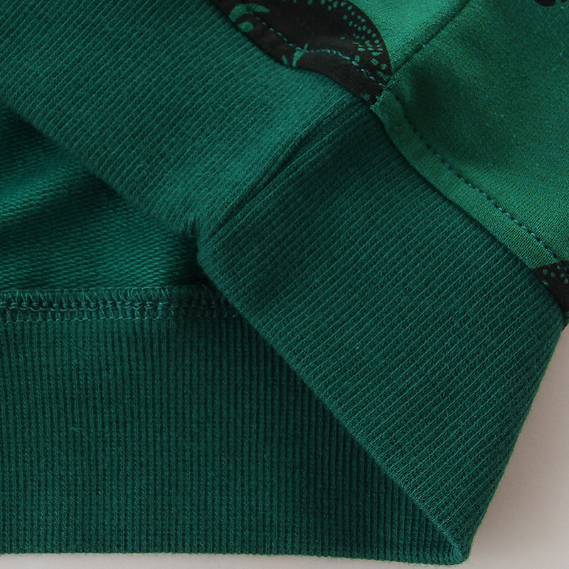 Suministro transfronterizo de sudaderas de manga larga para niños de estilo europeo y americano, nuevos productos de otoño para niños pequeños y medianos, sudaderas infantiles de cuello redondo, a la moda.