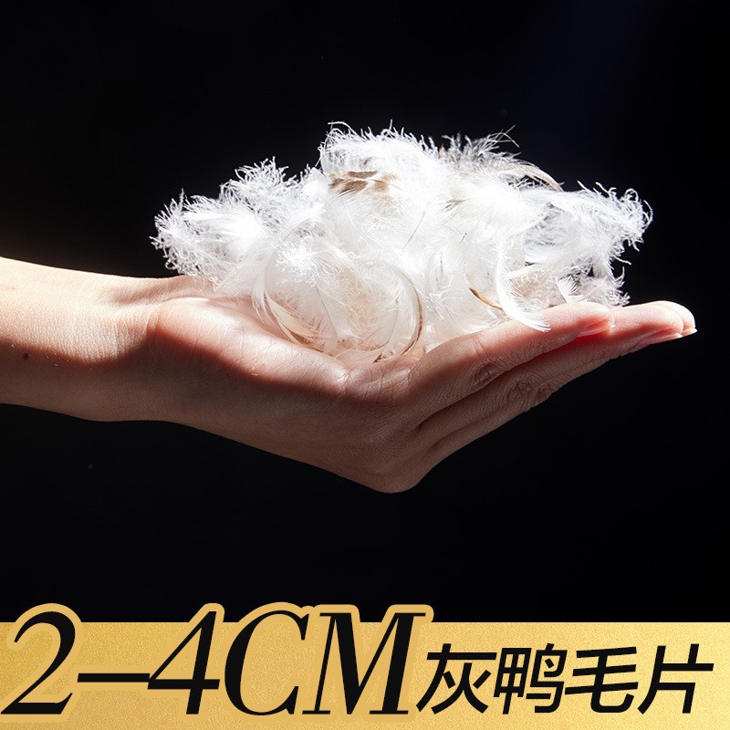 水洗2-4cm灰鸭毛片清洁无异味 沙发 枕芯 坐垫 填充羽绒羽毛批发