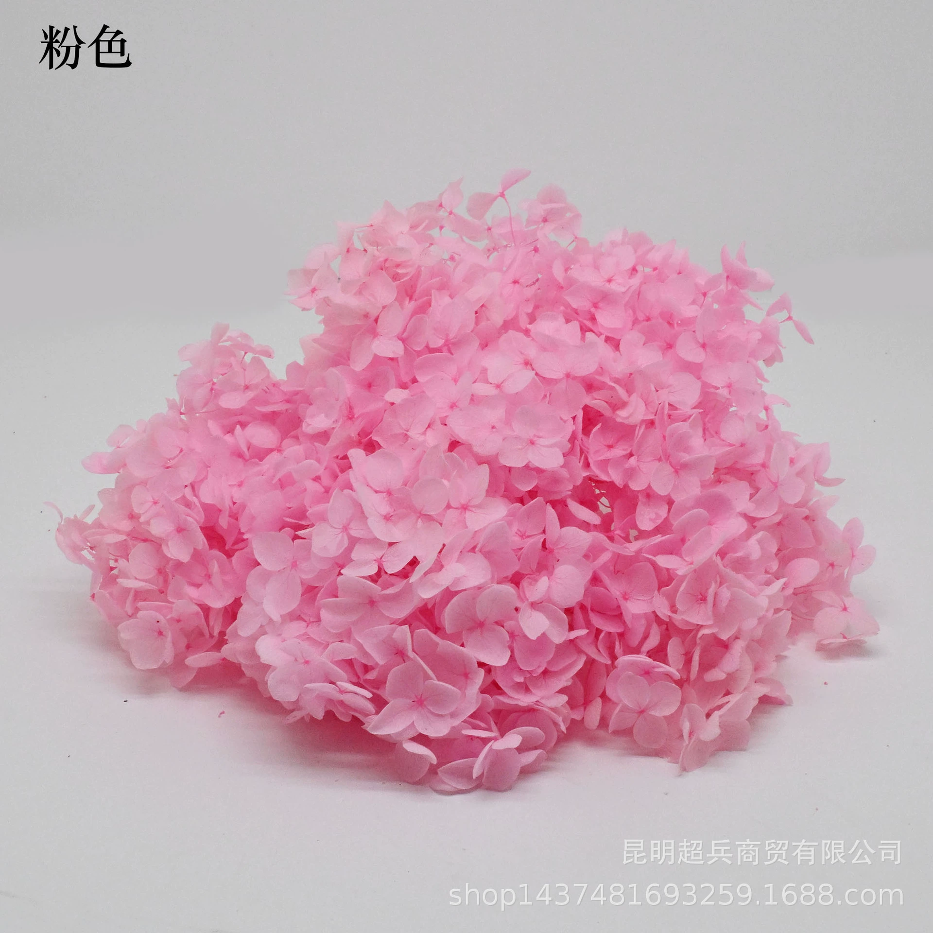 [Вечная Life Flower Hydrangea] Анна Градиентный цвет Лист Hydramid Книга цветов оптом DIY цветочная коробка материал для просмотра