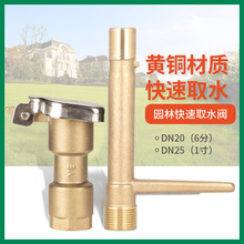 6分1寸快速取水阀全铜取水器园林绿化黄铜草坪取水口铜制DN25