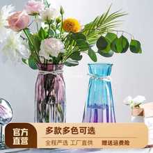新款玻璃花瓶摆件透明彩色水培植物干花花瓶客厅装饰插花瓶
