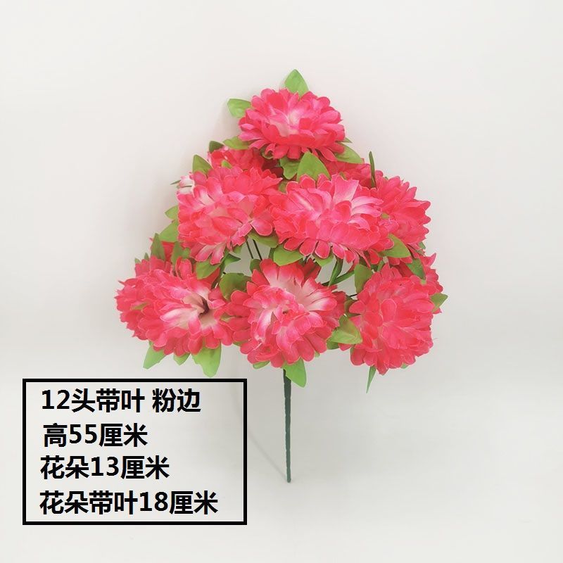 12 chrysanthemums with leaves (pink edge) 1 branch - 1 branch (not including flower pot) quality choice