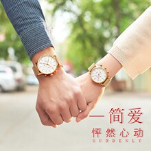 wy时尚款商务白领手表休闲女士学生情侣女表防水石英钢带表简约