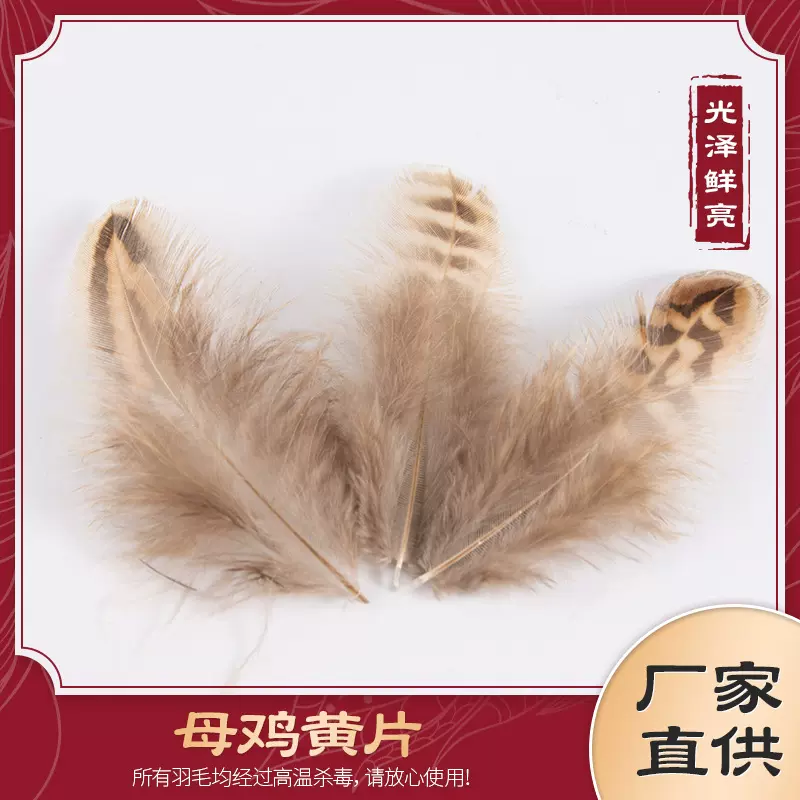 厂家直销现货母鸡黄斑5-9cm母鸡黄片羽毛野禽毛DIY服装辅料