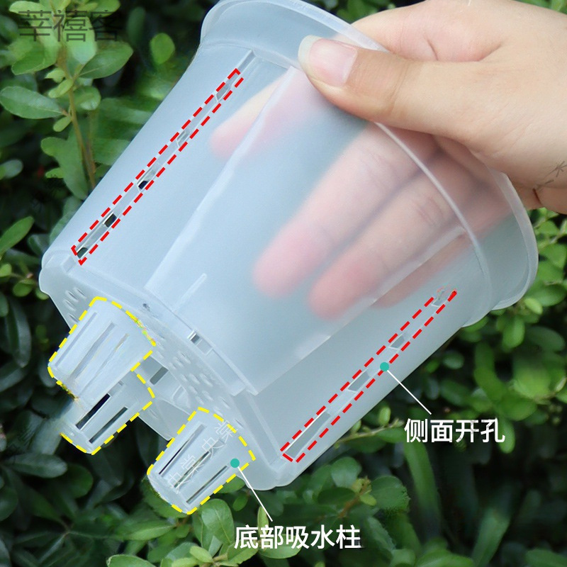 新商品の貯水透明青山盆は吸水しています。|undefined