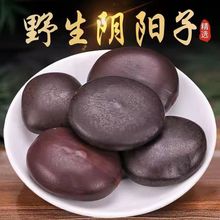 �V��Ұ��������ș��ľ�����I�䌚���P���ݾ��Ͽɴ��L�����p�I��