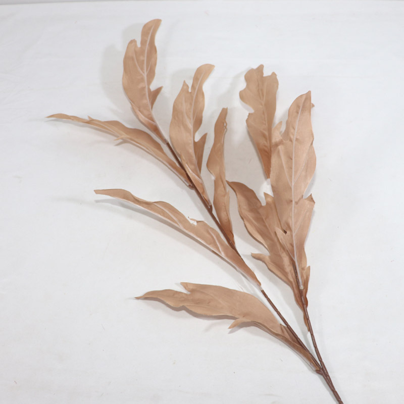 Feuille d'ange