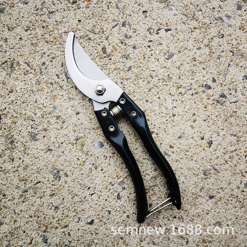 果枝园林修枝剪果树剪子园艺剪刀  园林工具  铁柄果枝剪树枝剪