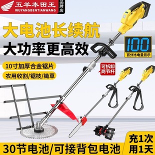 Electric Lawn Mower, Lithium Battery Rechargeable, Long-Lasting, Portable, Backpack-Type, High-Power Courtyard and Garden Lawn Mowing and Weeding Artifact