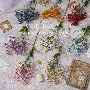 �WʽС���·���СҰ�ջ�����ǻ���ʾ���Ұ�ջ�c�zӰ����ins�L