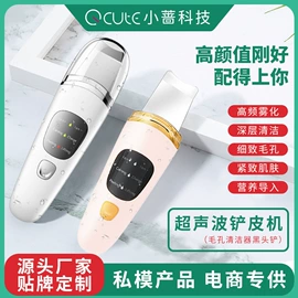 卷发/直发器;电动修眉刀;毛孔清洁器/黑头仪