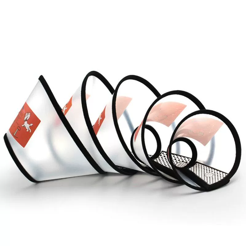 Кошки и собаки елизаветин после операции