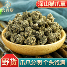 水洗优选猫爪草当季新货可搭配蒲公英散结猫抓草泡水精选干猫爪草