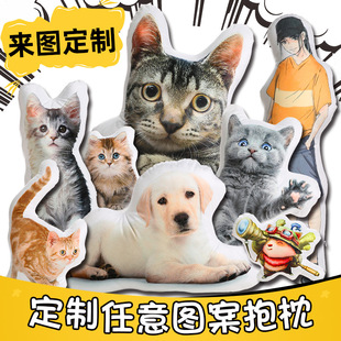 �羳���l���α���������Ilogoɳ�l�������^�����ׁ�D����һ����