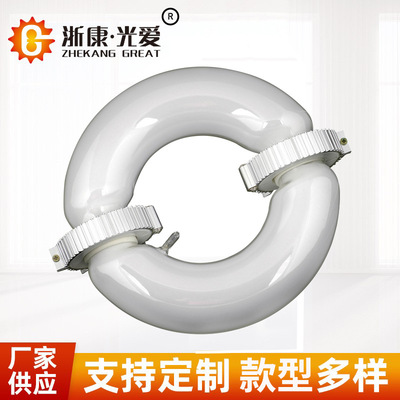 【源头直供】浙康光爱无极灯200W环形光源灯管厂房照明植物生长灯|ms