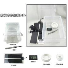 爬虫饲养盒角蛙蜘蛛蜥蜴守宫蜗牛宠物蛇饲养套装防越狱带加热垫