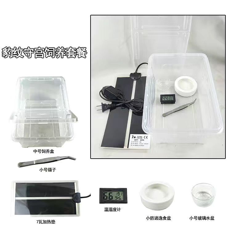 爬虫饲养盒角蛙蜘蛛蜥蜴守宫蜗牛宠物蛇饲养套装防越狱带加热垫
