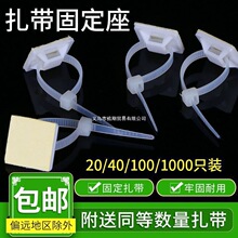 100ֻ�����������N늾��̶�����ᔠ��W���̾������������̶���