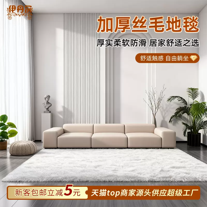 长绒丝毛地毯纯色加密加厚客厅卧室飘窗毯简约高级感毛毯地垫