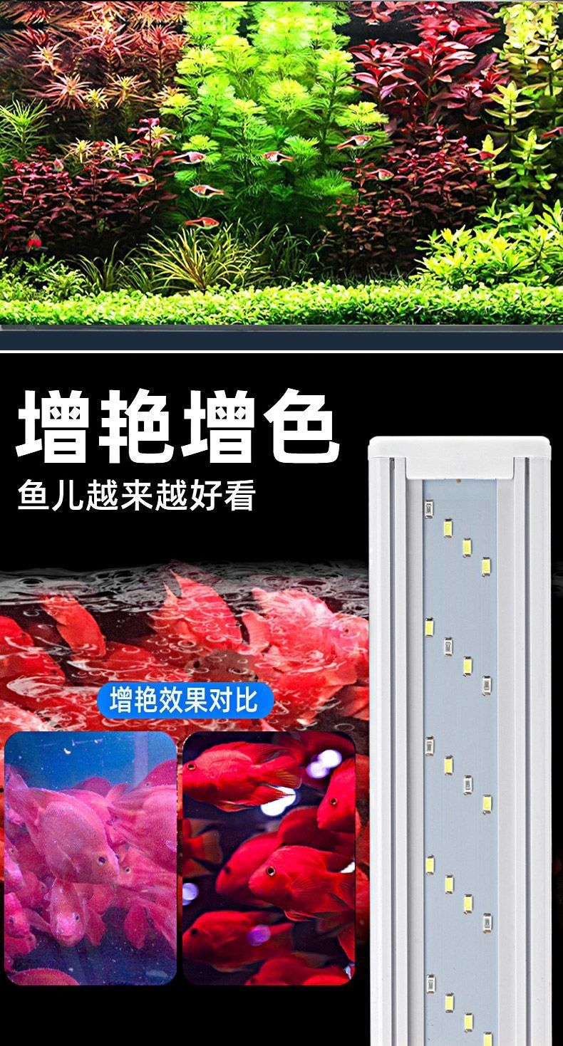 e3be85d4-8704-4d7d-b58a-20c161f14957.jpe