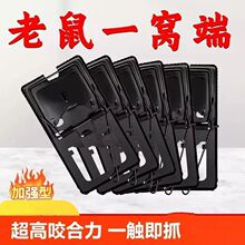 �¿�������ò�����؈��������A�¿����������A��������