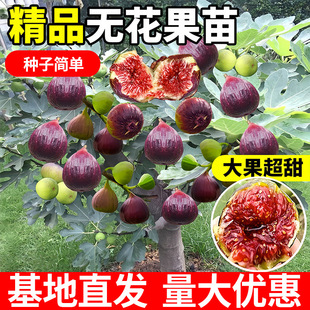 �o��������粨���t�ش���������������ļ��Ϸ������Nֲ����Y��