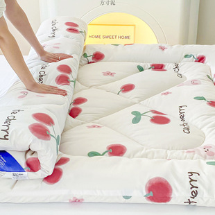 Spring and Autumn Mattress Cushion Home Bedroom Mat Bedding Thickened Warm Mattress Cushion Autumn and Winter Bedding