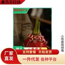 �ش���피t�M���ذ�N��ޟo�Դ�N�����Ի����p��������������