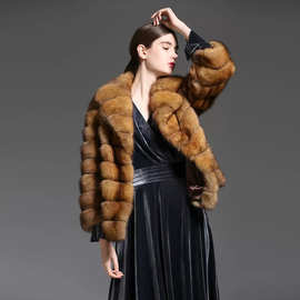 奢华加拿大进口黑貂貂皮皮草大衣紫貂裘皮外套女黄金貂西装领短款