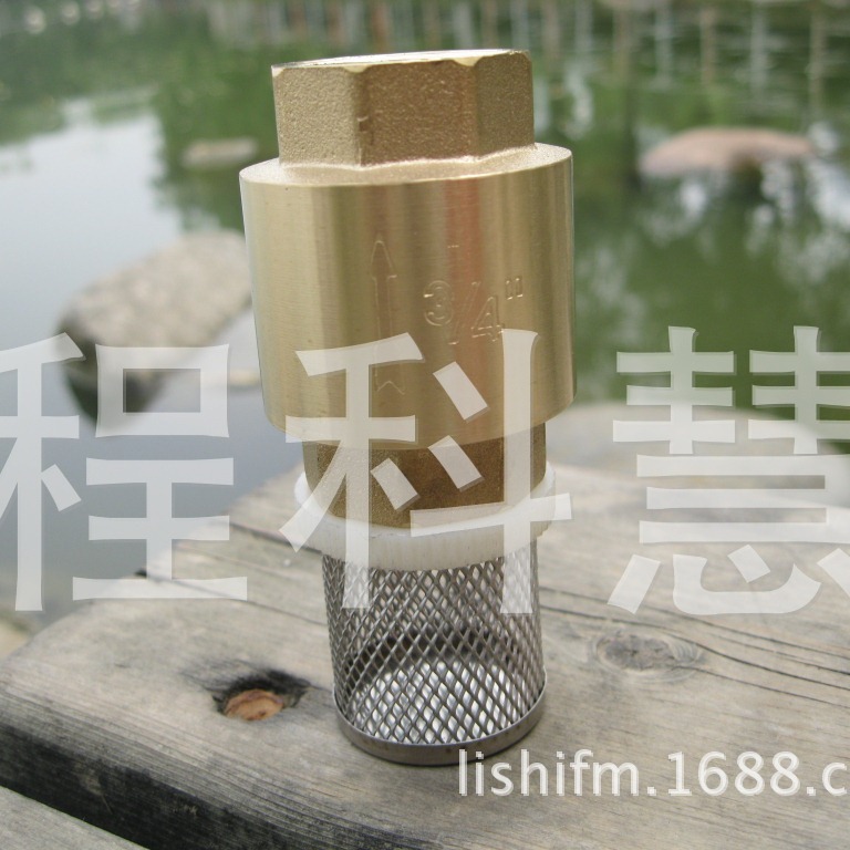 黄铜立式止回阀弹簧底阀过滤网水泵底阀玉环铜阀弹簧铜芯4分-4寸