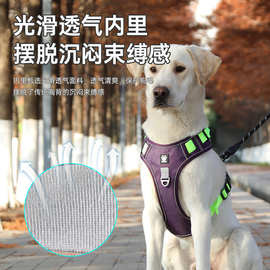 狗狗牵引绳背心式中大型犬金毛拉布拉多胸背带脖圈链遛狗绳可调节