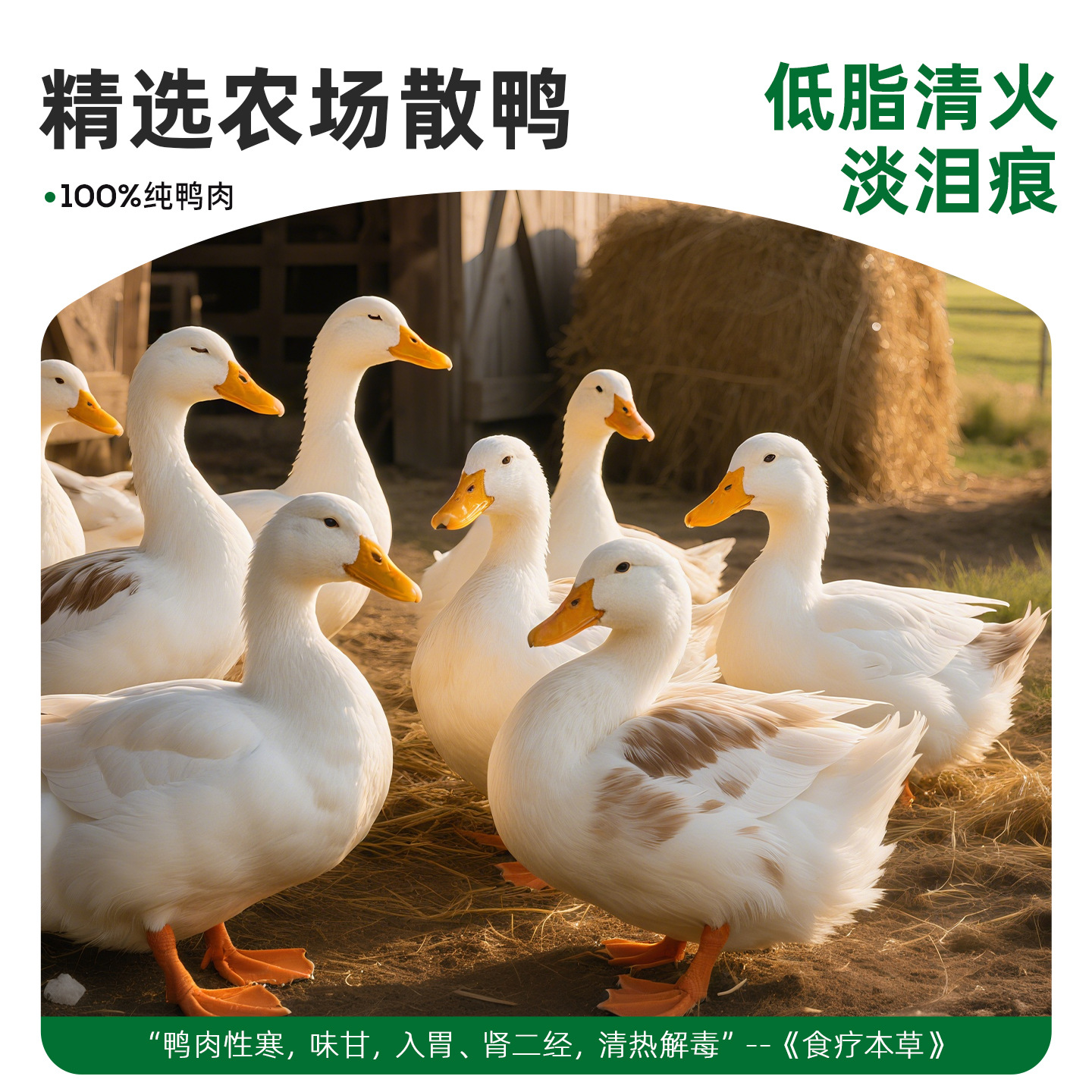 Aperitivos para perros liofilizados enlatados para mascotas