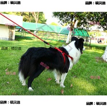 边牧牵引绳胸背带中小型犬狗项圈套装边境牧羊犬遛狗绳牵狗绳狗链