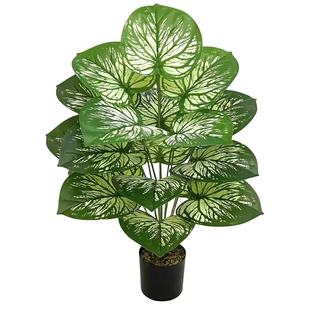 �羳���R�d��Ʒ����Gֲ���W�L�Ҿ��b��~���ָ��z�~���^�辰��