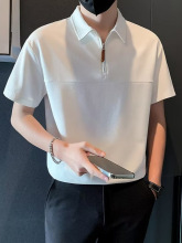 ļ׼2024ϰˇɫPOLO¿insഺ