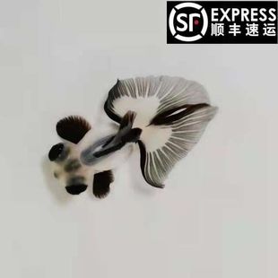 ��ˮ�^�p�~���~���ڰ���؈�������~ȹβ���_β,���B�׻��������~