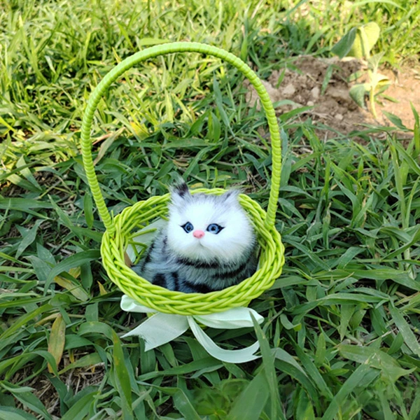 Will be called a green category green rap cat