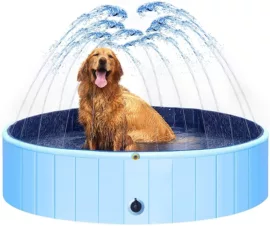 水上充气床;戏水玩具;游泳圈