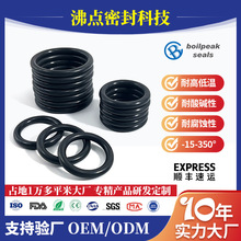 沸点镀膜机用全氟醚O型圈O-RING耐二甲基乙酰胺/密封圈全氟FFKM